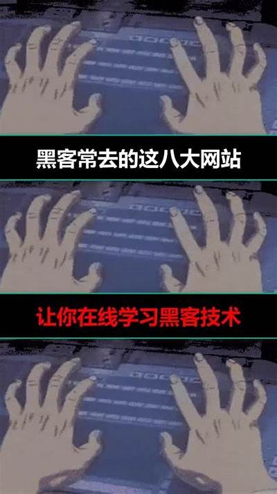 黑客在线接单平台网址汇总「黑客在线接单 好技术常识」